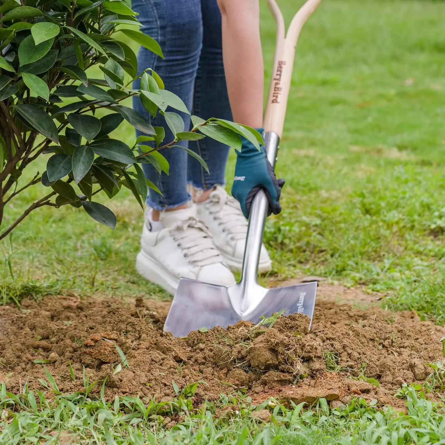 Berry&Bird Shovels for Digging, 43’’ Round Spade Heavy Duty Shovel with Wooden D Handle Stainless Steel Snow Shovel Garden Shovel Yard for Transplanting & Outdoor