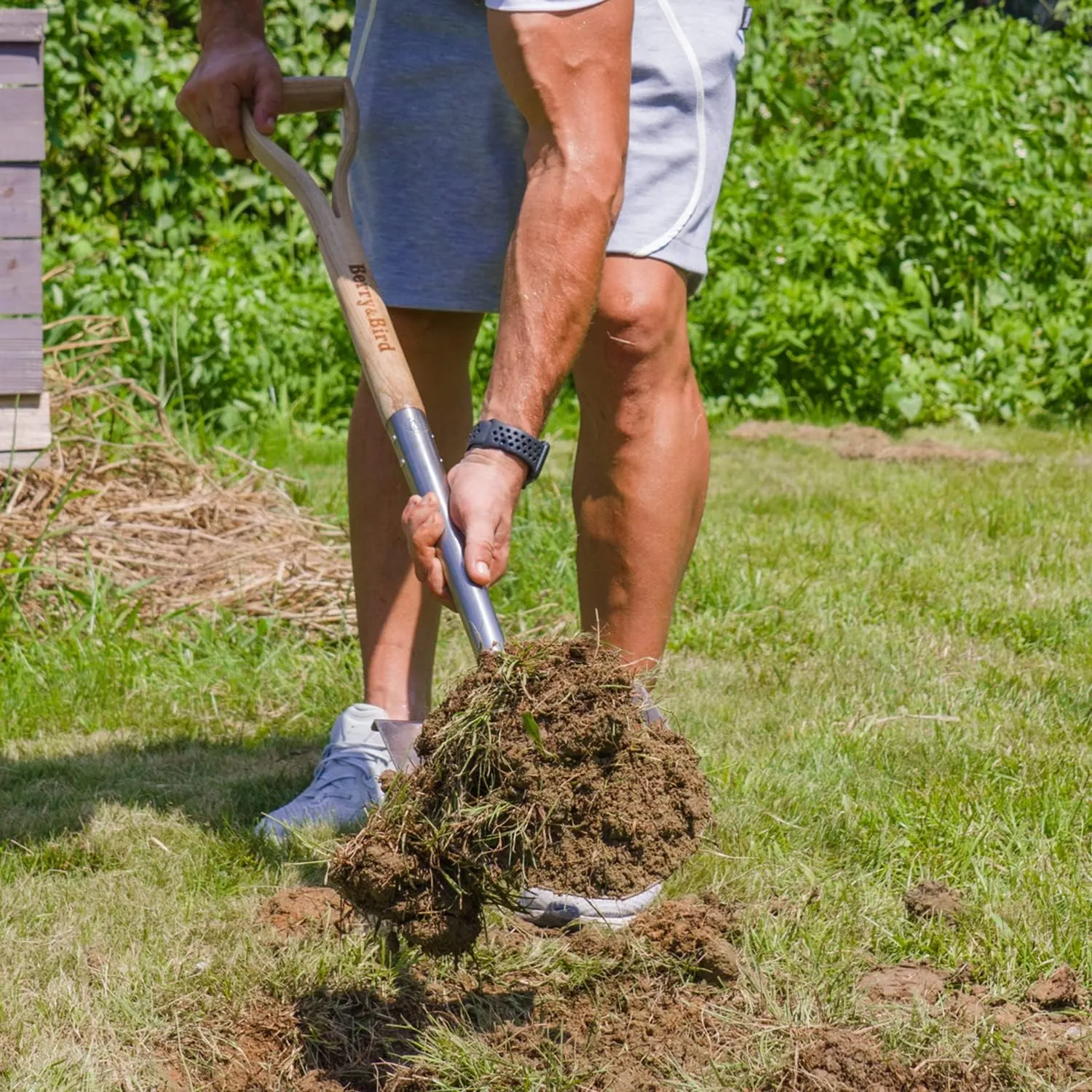 Berry&Bird Shovels for Digging, 43’’ Round Spade Heavy Duty Shovel with Wooden D Handle Stainless Steel Snow Shovel Garden Shovel Yard for Transplanting & Outdoor