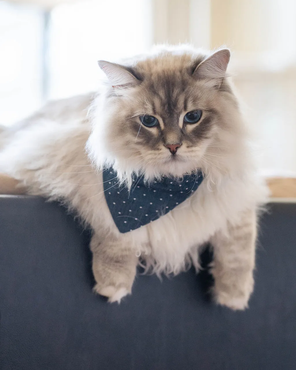 CLASSIC BANDANA