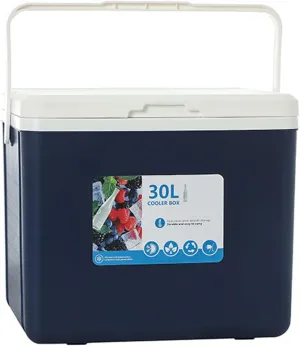 Cooler for Ligier JS50/JS60/Myli/Pulse 4/Be Sun/Be Two/OptiMax/X-Pro/X-Too Insulated Hard Ice Box Large High-Performance Storage Box Portable Cool Picnic Box Festival,B-38 * 30.5 * 34.5cm