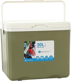 Cooler for Studebaker Flight Hawk/Golden Hawk/Lark/President/Silver Hawk Insulated Hard Ice Box Large High-Performance Storage Box Portable Cool Picnic Box Festival,C-38 * 30.5 * 34.5cm