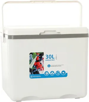 Cooler for Zeekr 001/Zeekr 007/Zeekr 009/Zeekr 7X/Zeekr Mix/Zeekr X Insulated Hard Ice Box Large High-Performance Storage Box Portable Cool Picnic Box Festival Camping,A-38 * 30.5 * 34.5cm