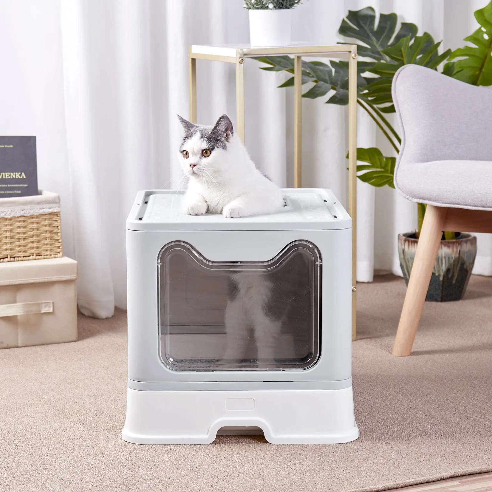 Covered Cat Litter Box with Dual Entry