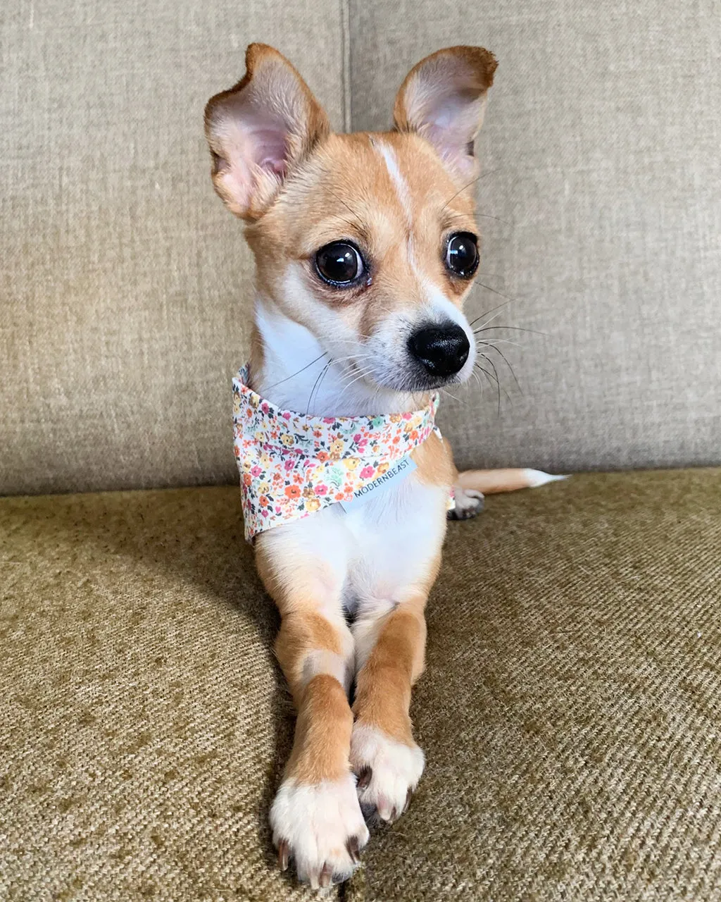 FLORAL BANDANA