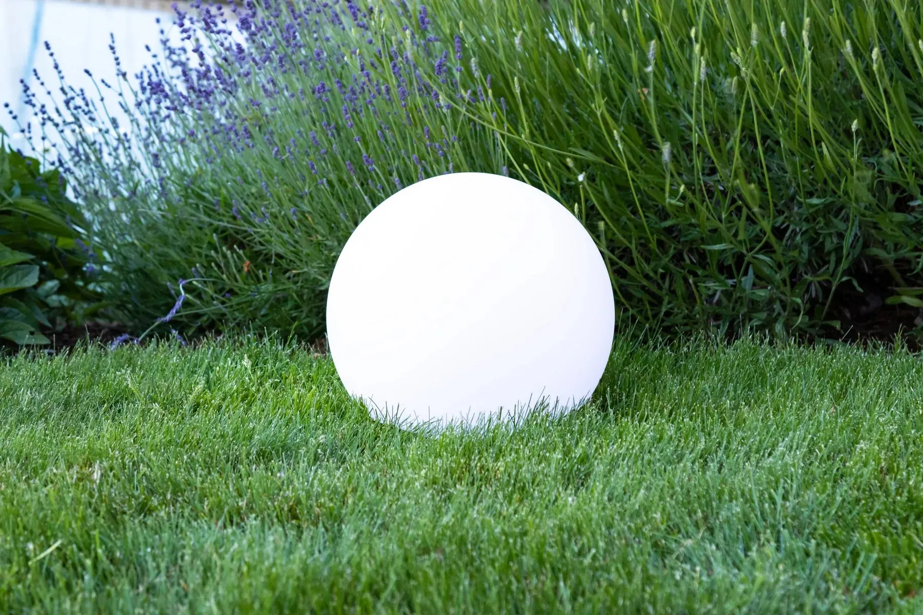 Harvest Moon Lantern
