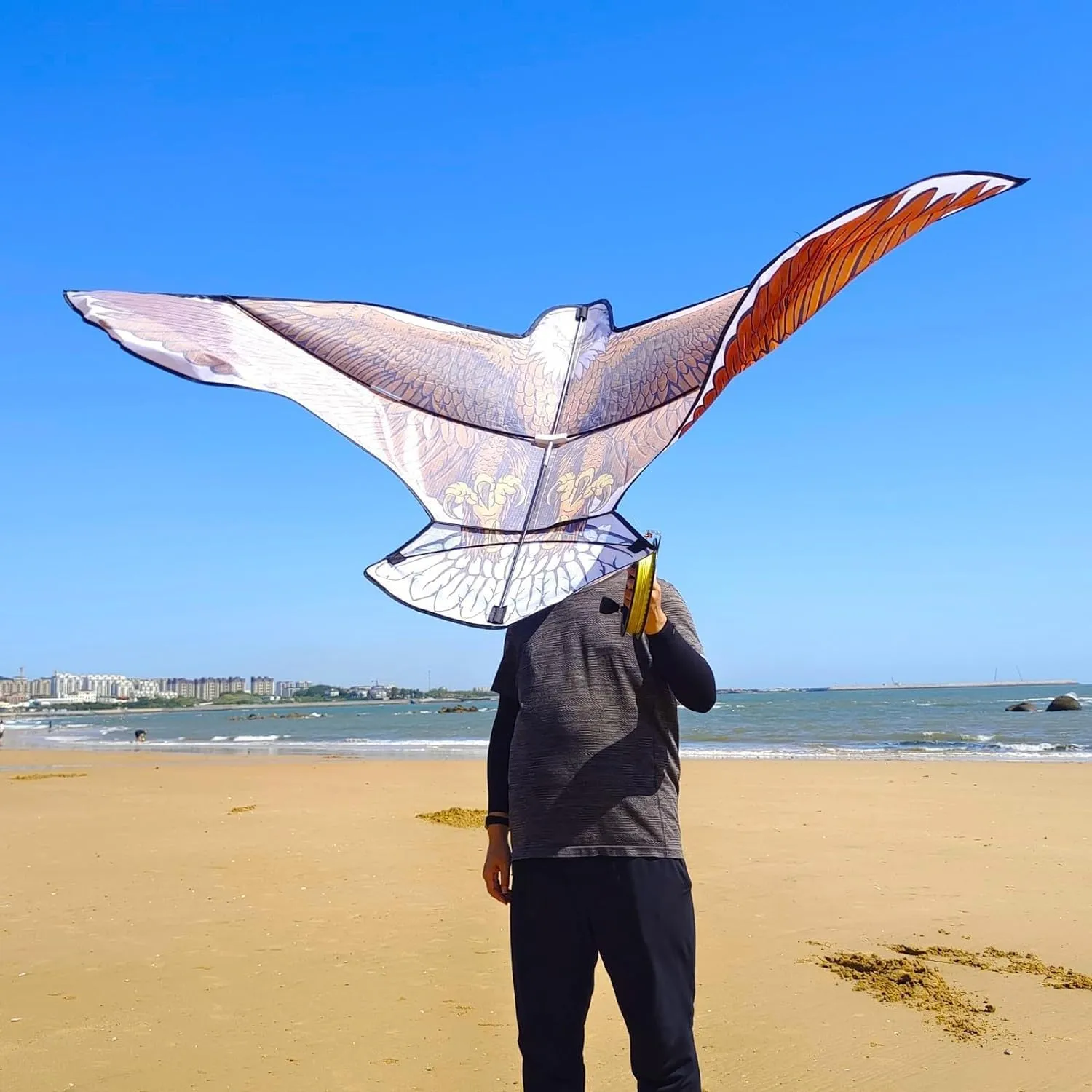 Hoofer Large Beach Kite and Reel Winder with 650ft String for Kids and Adults, Single Line Kite, Extremely Easy to Fly for Beginners