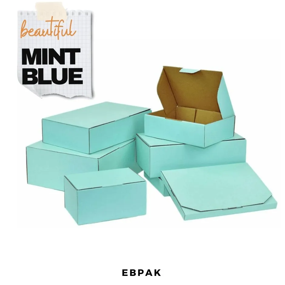 Mint Blue Mailing Box Diecut eCommerce Mailer
