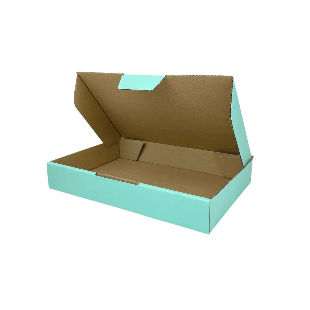 Mint Blue Mailing Box Diecut eCommerce Mailer
