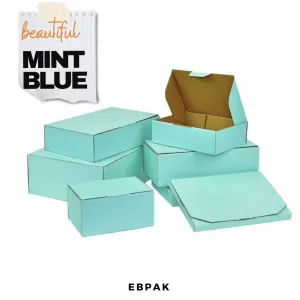 Mint Blue Mailing Box Diecut eCommerce Mailer