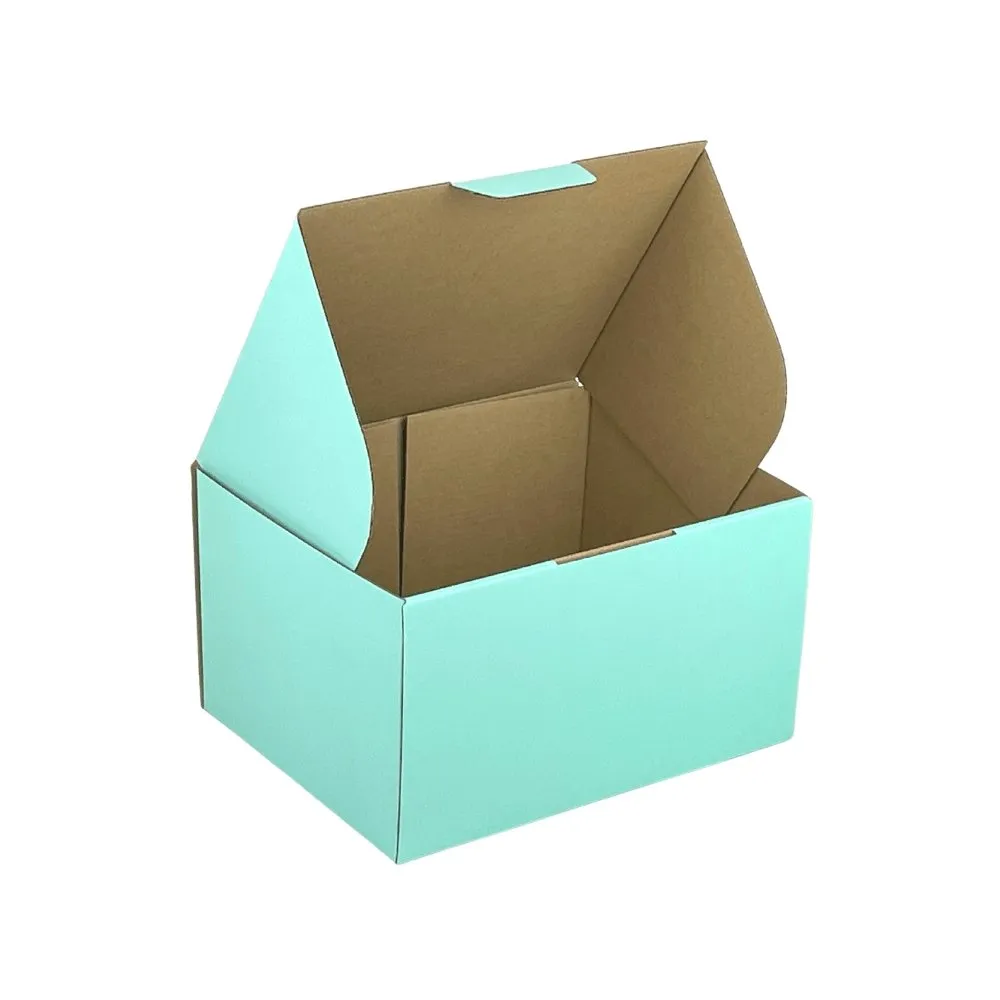 Mint Blue Mailing Box Diecut eCommerce Mailer