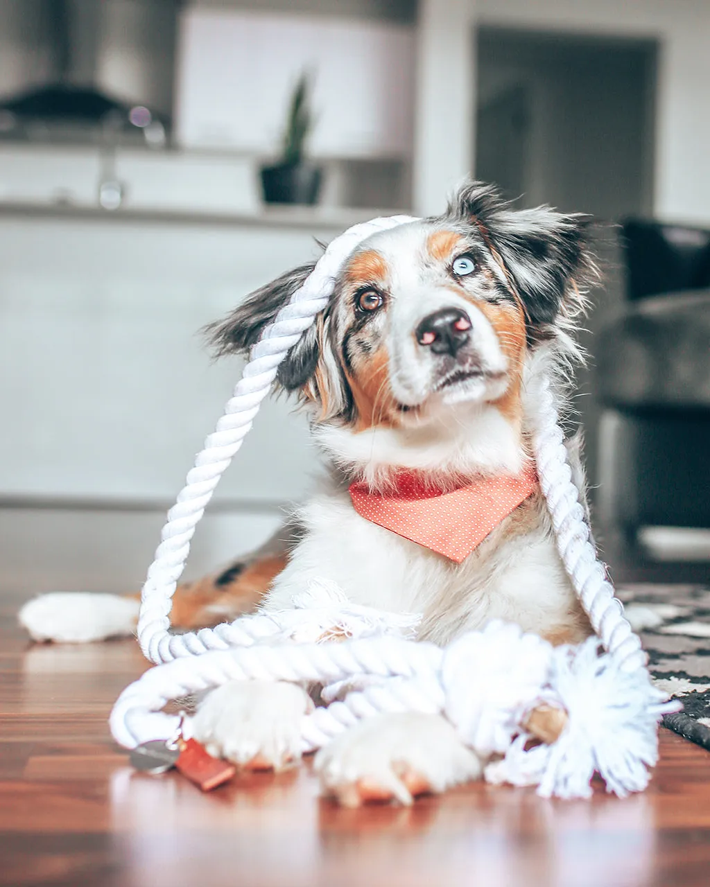 PARTY BANDANA