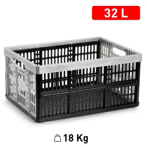 Plastic Forte Folding Box with 2 Side Handles, 30L - Black & Silver