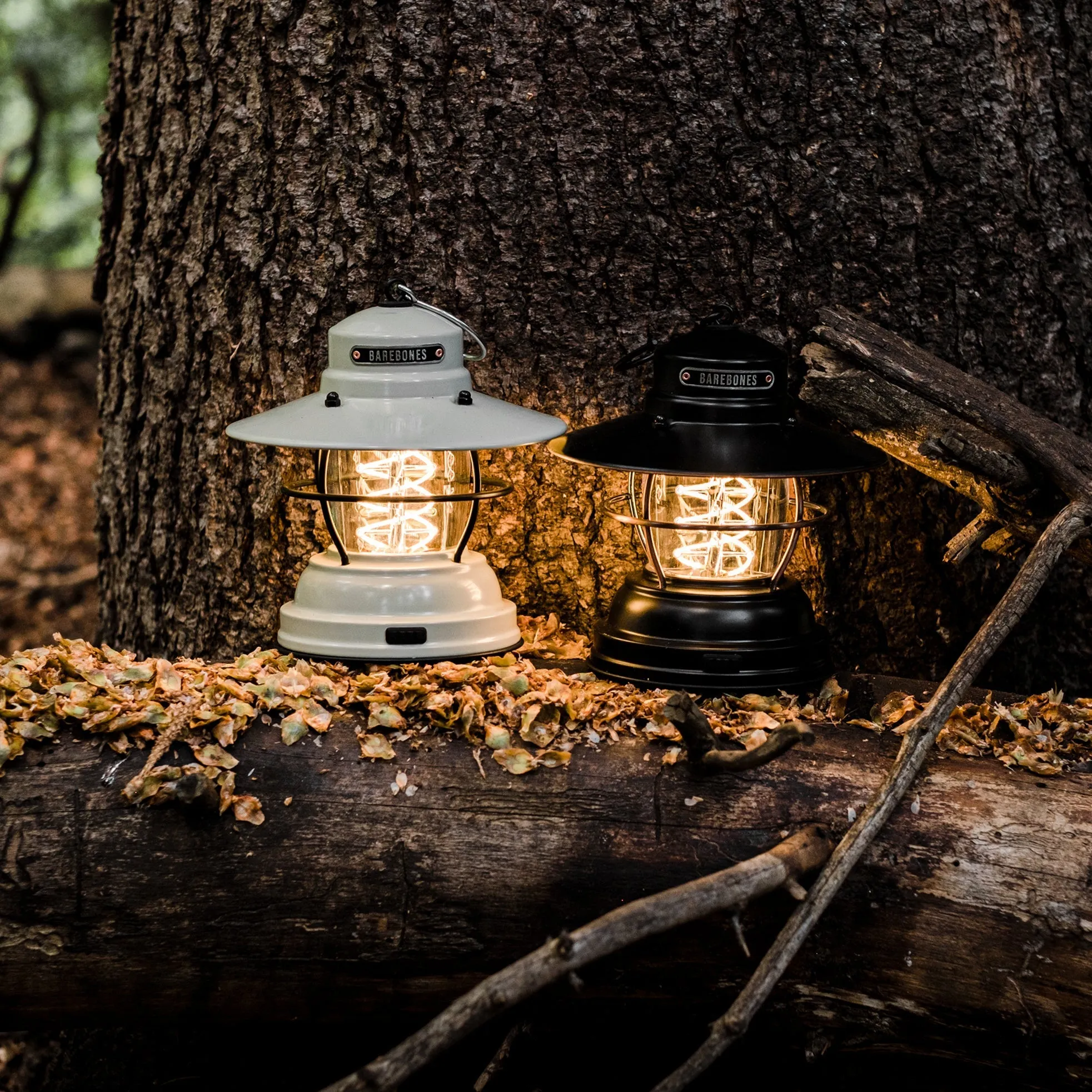 Rynx | Outpost Lantern