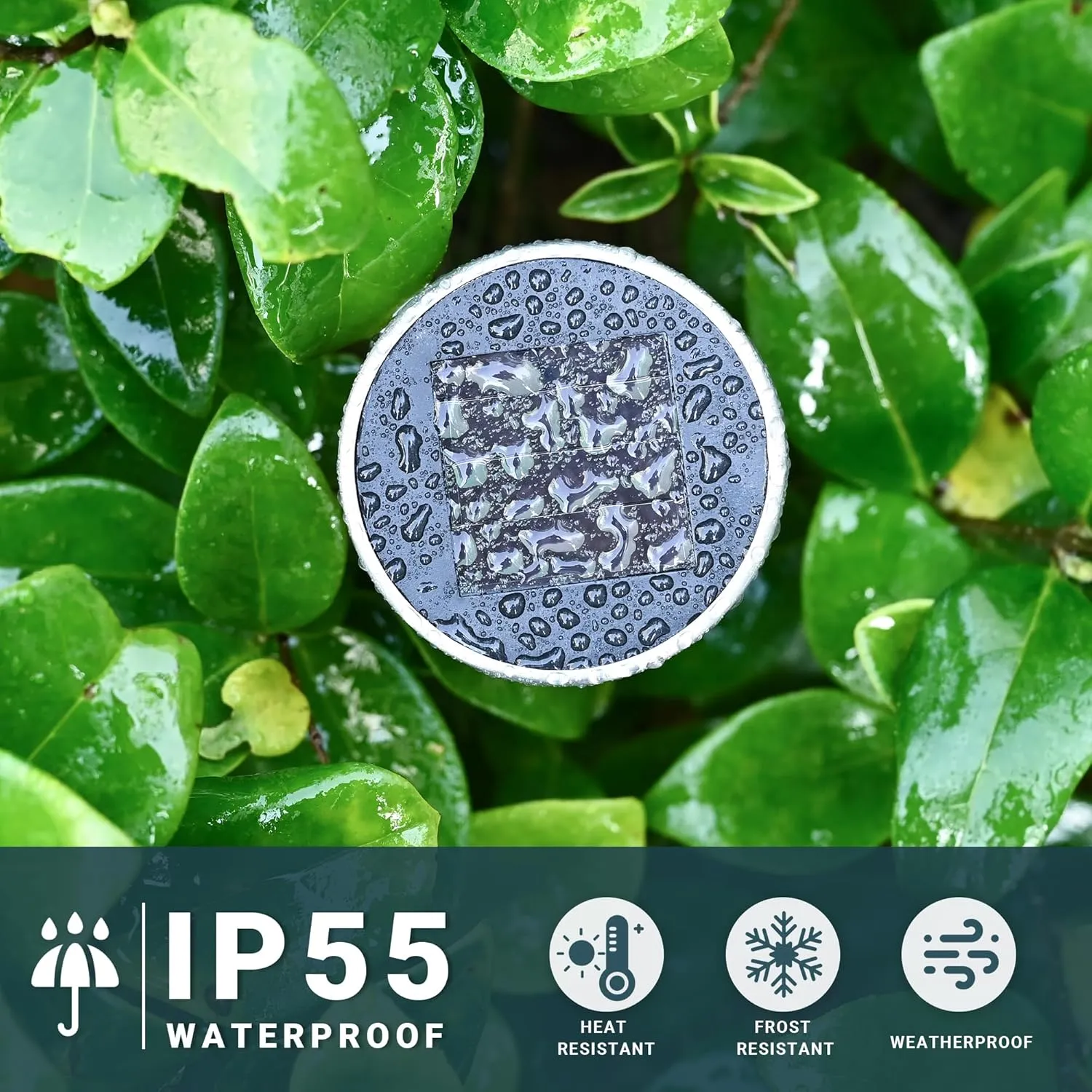 SOLPEX 16 Pack Solar Outdoor Lights Pathway, Stainless Steel Solar Lights Outdoor Waterproof,LED Landscape Lighting Walkway for Landscape/Patio/Lawn/Yard/Driveway-Cold White