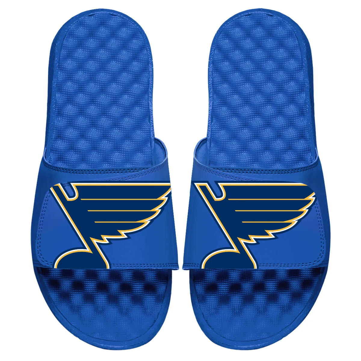 St Louis Blues Blown Up