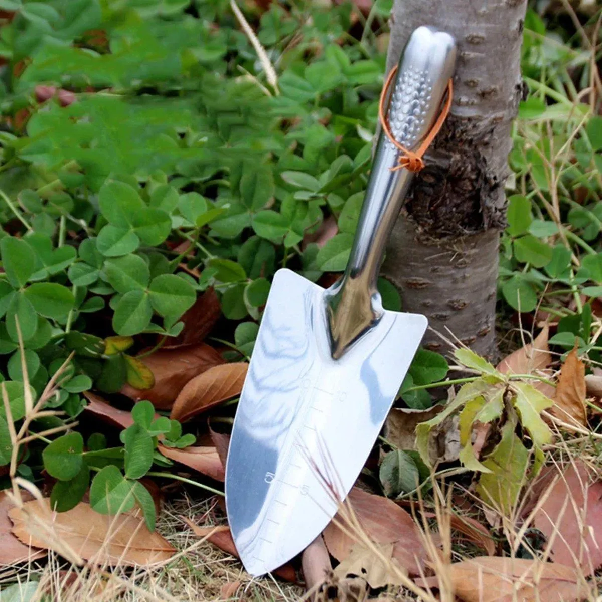 Stainless Steel Scale Spade Gardening Shovel Small Gardens Succulents Plant Tool