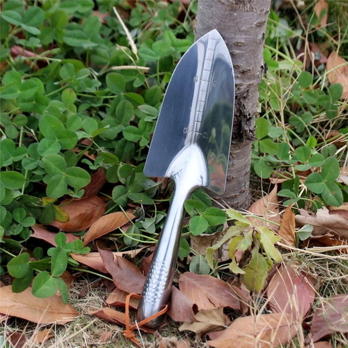 Stainless Steel Scale Spade Gardening Shovel Small Gardens Succulents Plant Tool
