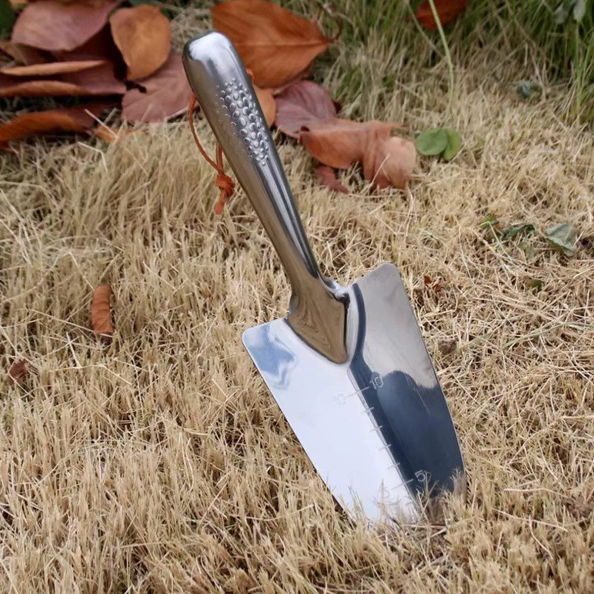 Stainless Steel Scale Spade Gardening Shovel Small Gardens Succulents Plant Tool