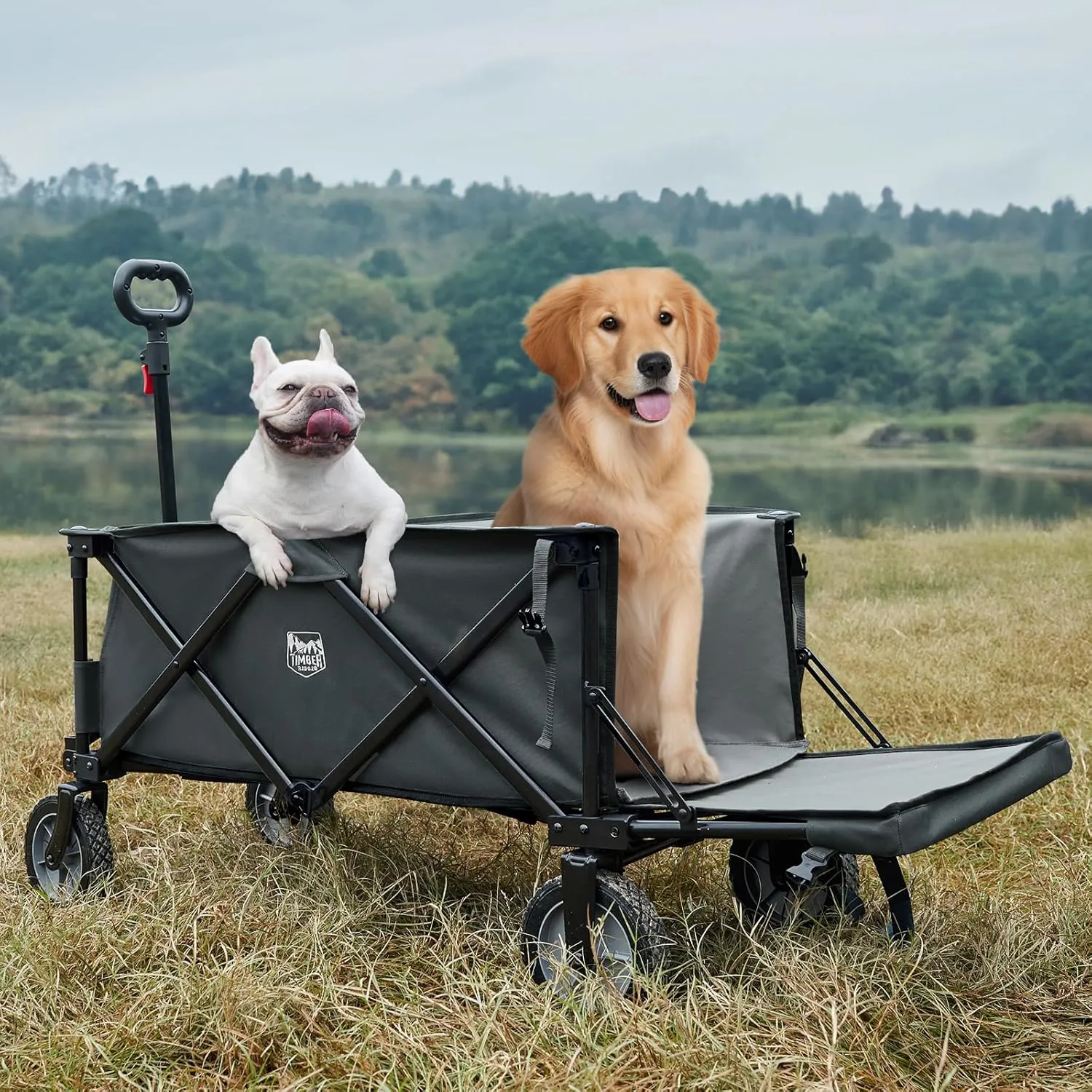 TIMBER RIDGE 49" Extra Long Collapsible Folding Wagon with Tailgate and Brakes, 300lbs Heavy Duty Foldable Wagon with Adjustable Handle, 250L Capacity Portable Cart for Outdoor Camping Sports, Grey