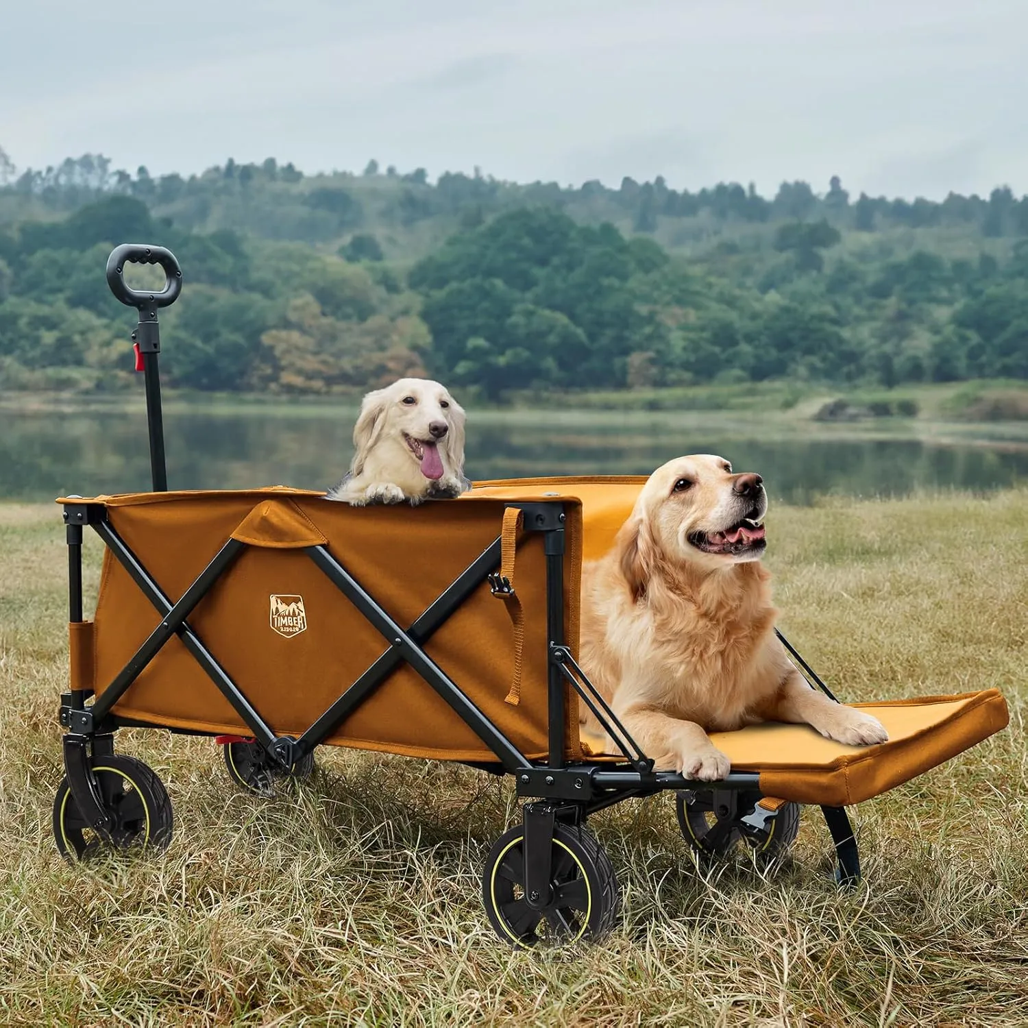 TIMBER RIDGE 49" Extra Long Collapsible Folding Wagon with Tailgate and Brakes, 300lbs Heavy Duty Foldable Wagon with Adjustable Handle, 250L Capacity Portable Cart for Outdoor Camping Sports, Orange