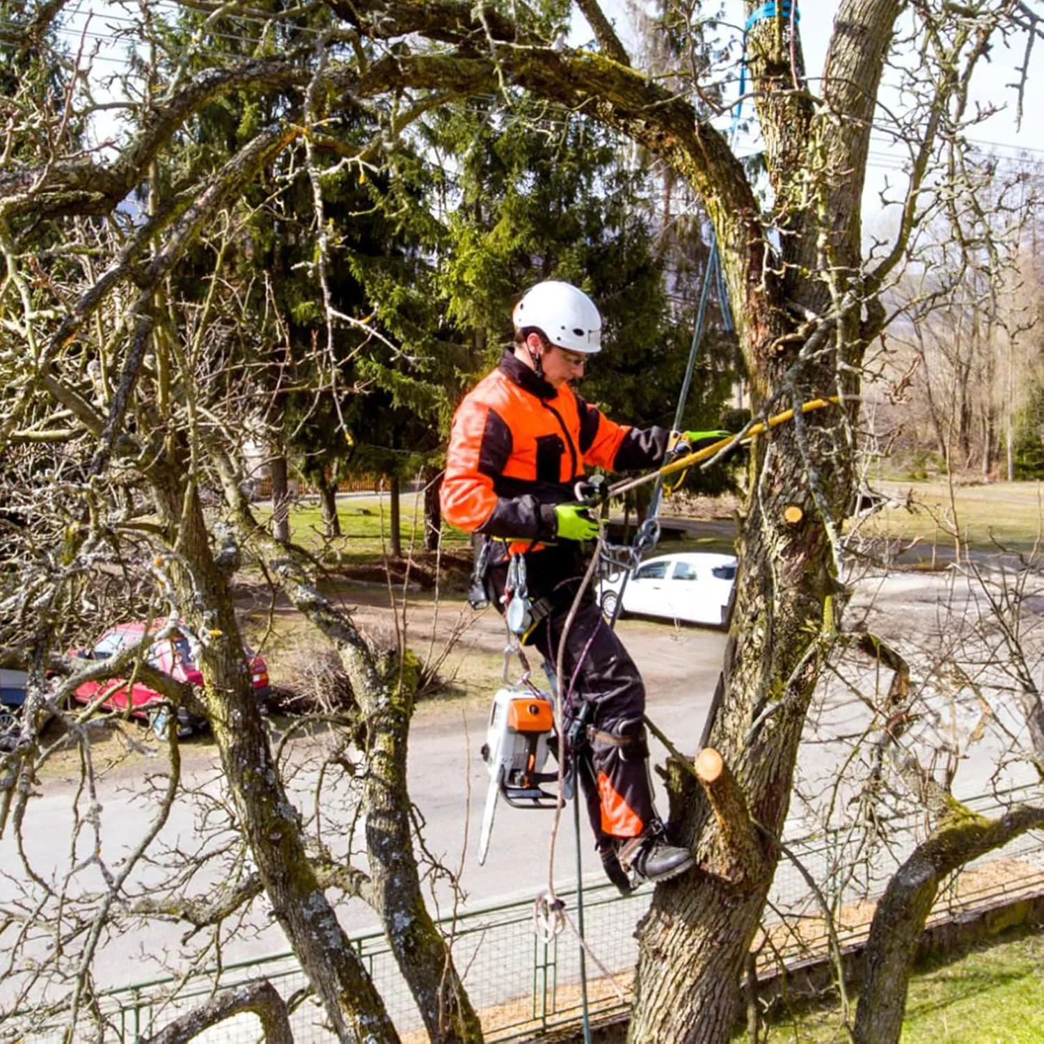 Tree Climbing Spikes,Tree Climbing Gear,Tree Climbing Kit Suitable for Climbing Trees, Picking Fruits,etc