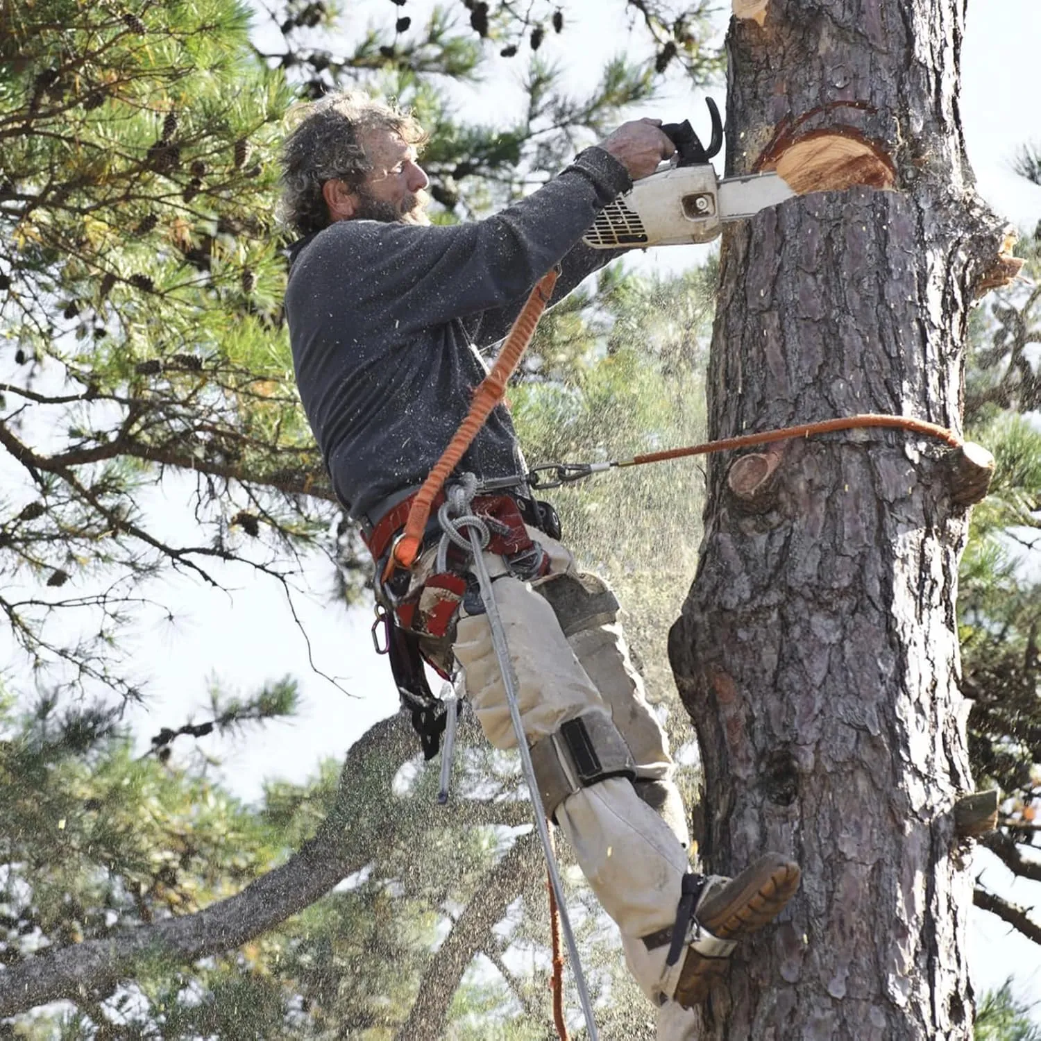 Tree Climbing Spikes,Tree Climbing Kit,Tree Climbing Gear,Suitable for Fruit Picking,Tree Climbing,Hunting