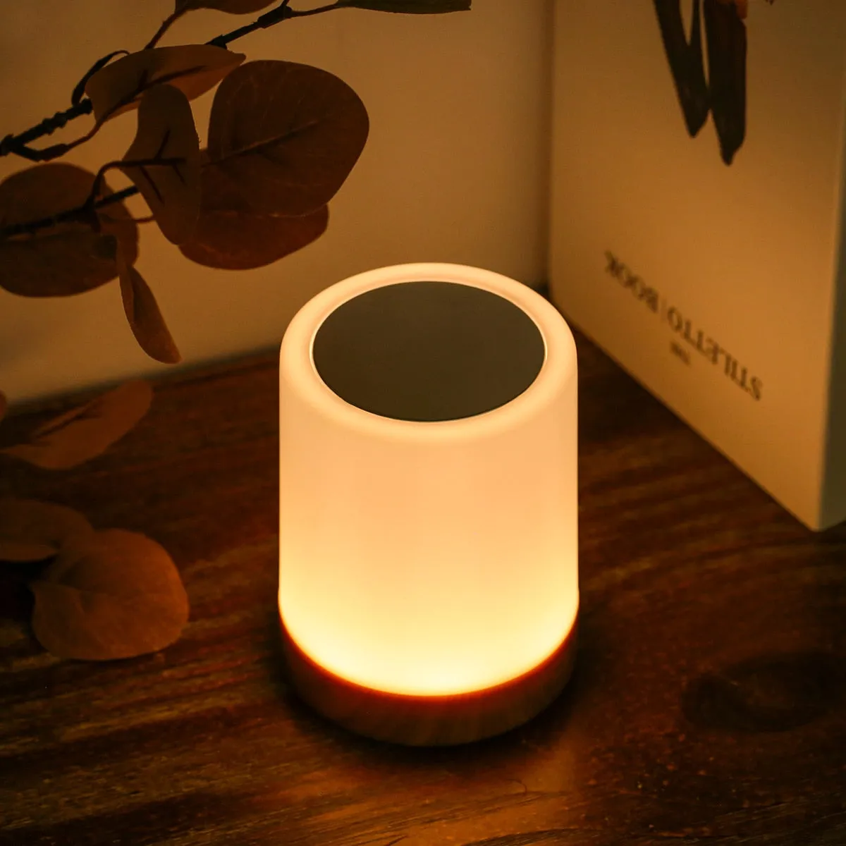 USB Rechargeable Touching Control Bedside Light Dimmable Table Lamp