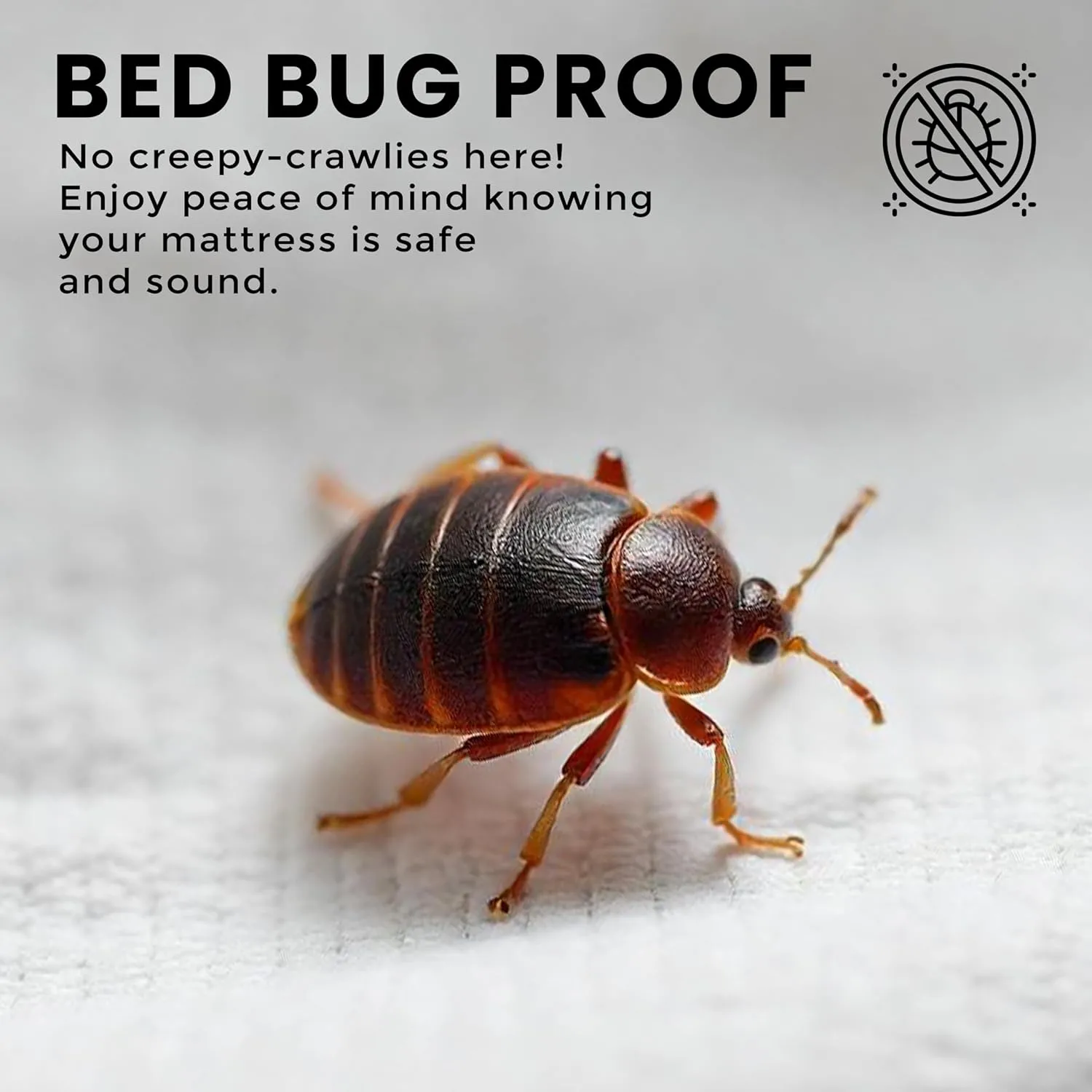 Utopia Bedding Premium Zippered Mattress Encasement (Fits 12 Inches Mattress, Queen) - Waterproof and Bed Bug Proof Mattress Protector - Six-Sided Mattress Cover (Pack of 2)