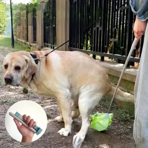Walking Shovel Pick-Up Tool Garbage – with Best-selling items Waste Dog Bags Bargain Outdoor