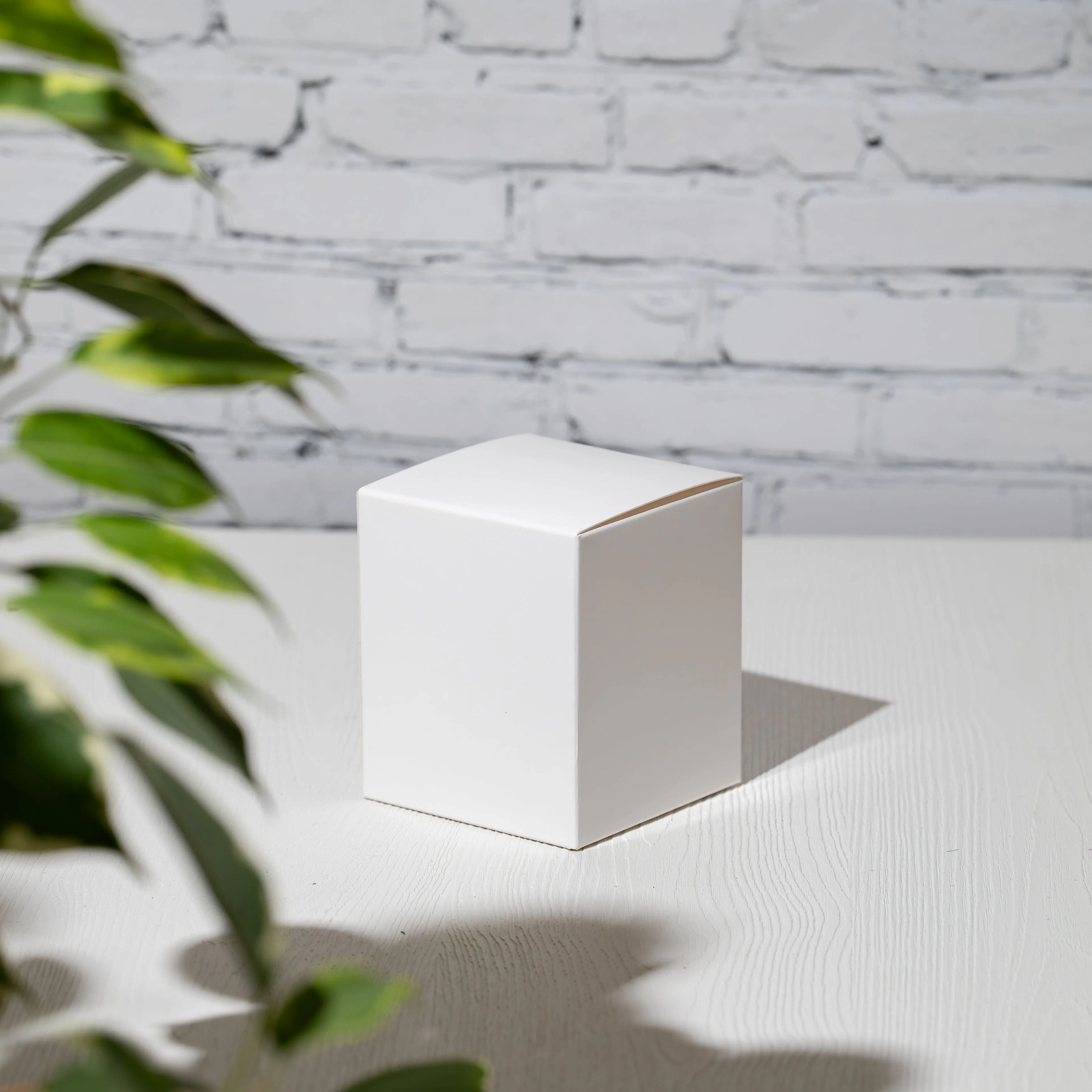White Folding Box for 30cl Lotti (Pack of 6)