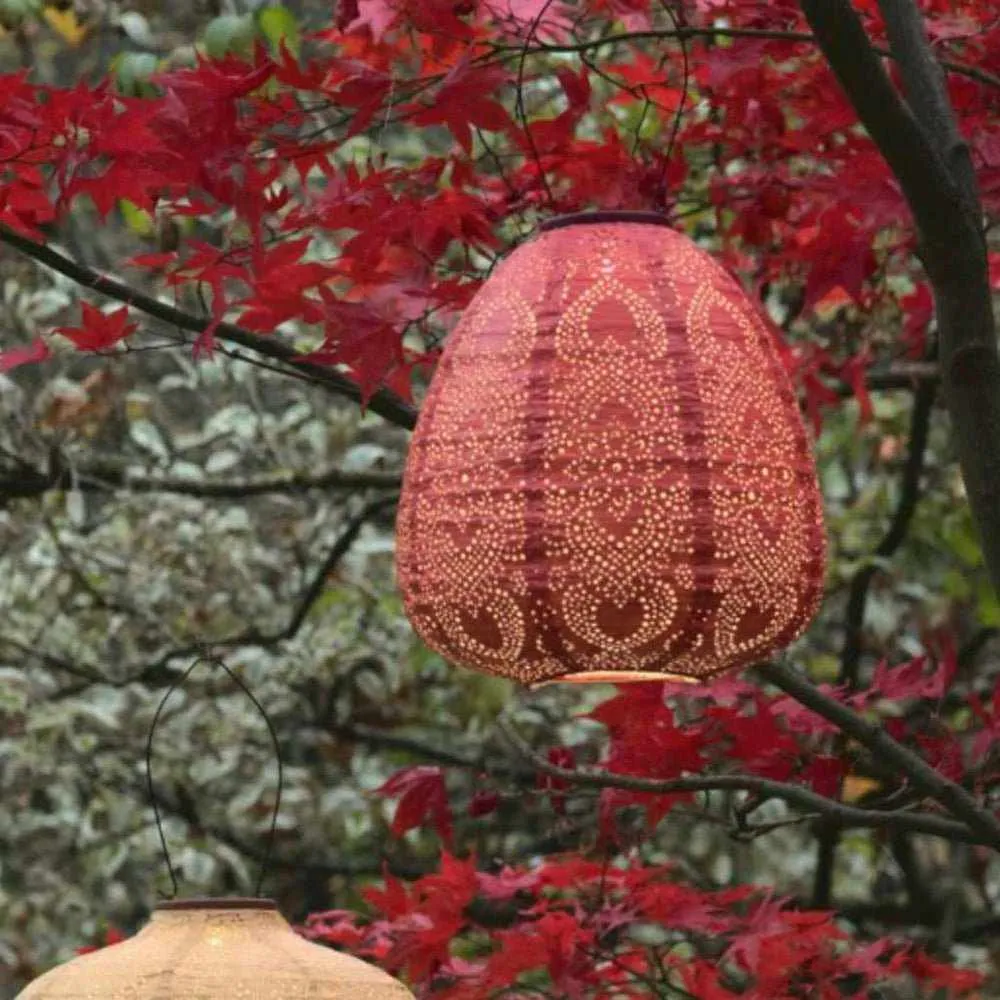 x12 Solar Lantern Pumpkins & Dome